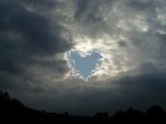 ~RAIN~ ~RAIN~