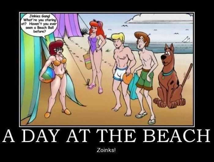 ZOINK,S!?x ZOINK,S!?x
