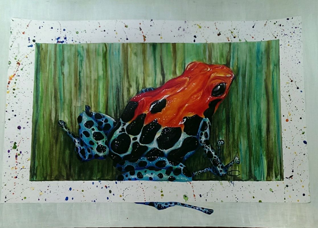 Nature&#039;s Finest