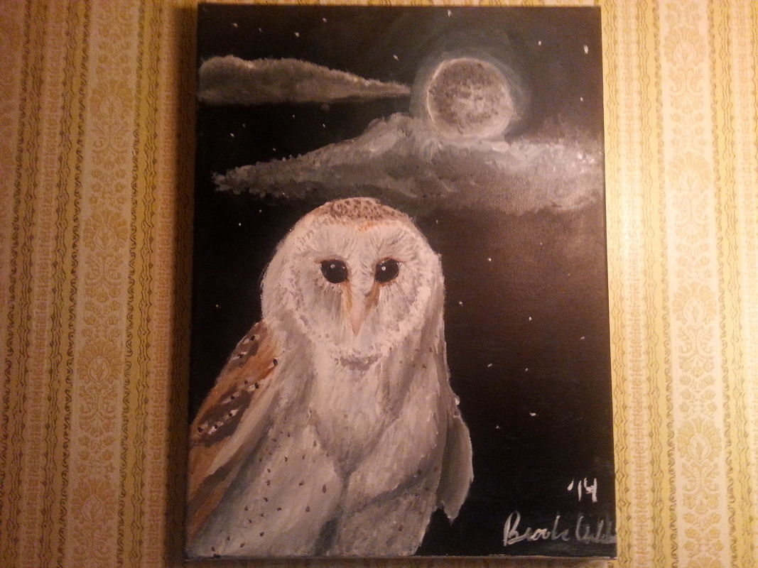 The Wise Old Barn Owl