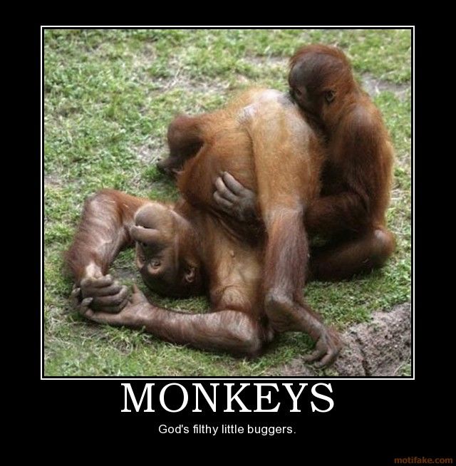 MONKEY BUSINESS !?X