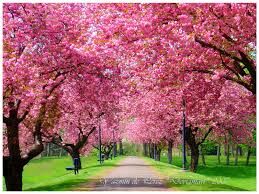 Spring Is In The Air Spring Is In The Air