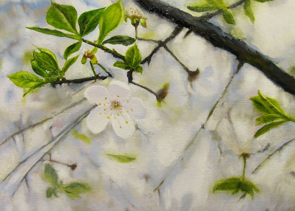 Spring