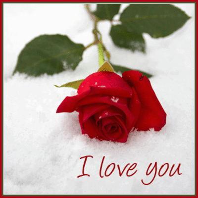 ~~DO WE REALLY KNOW WHAT LOVE REALLY IS?? ~~DO WE REALLY KNOW WHAT LOVE REALLY IS??