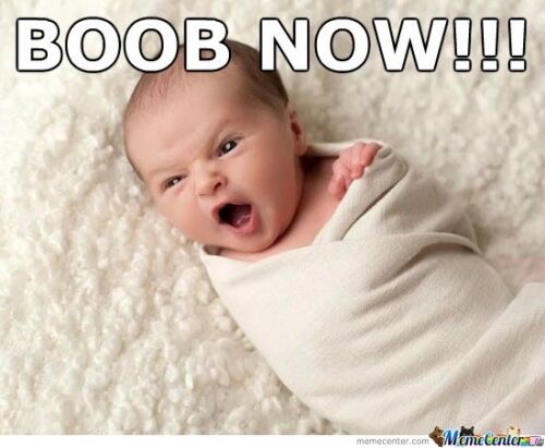 BOOB....NOW !!!!!!!!X