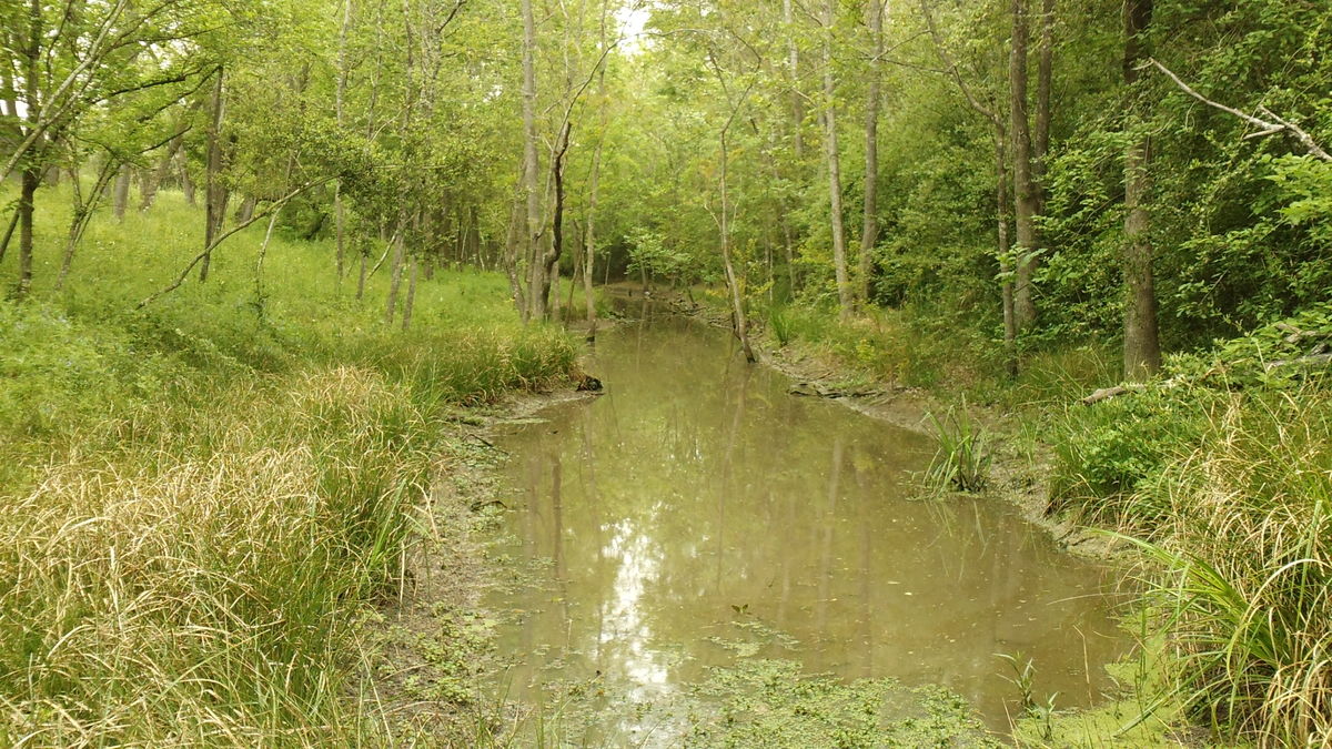Spring Creek Spring Creek