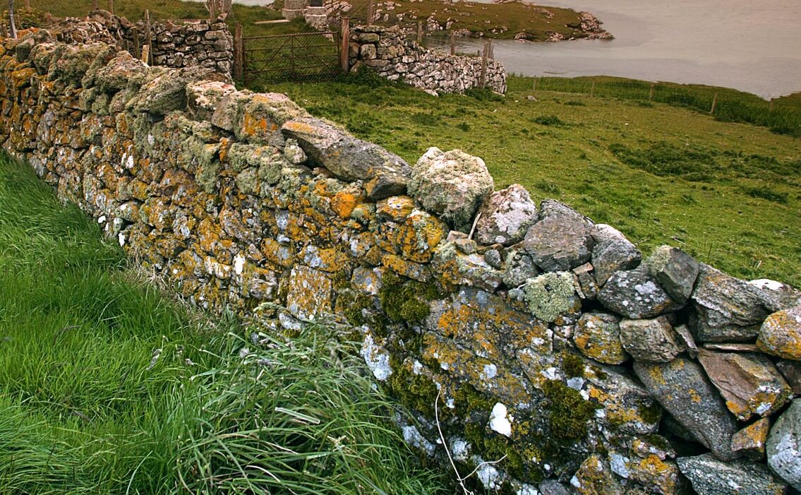 Walls Walls