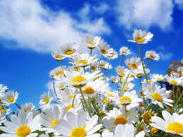 Spring and seasons on earth Spring and seasons on earth