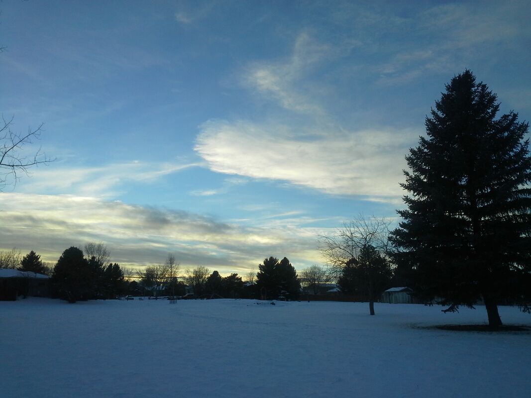 Montana Winter