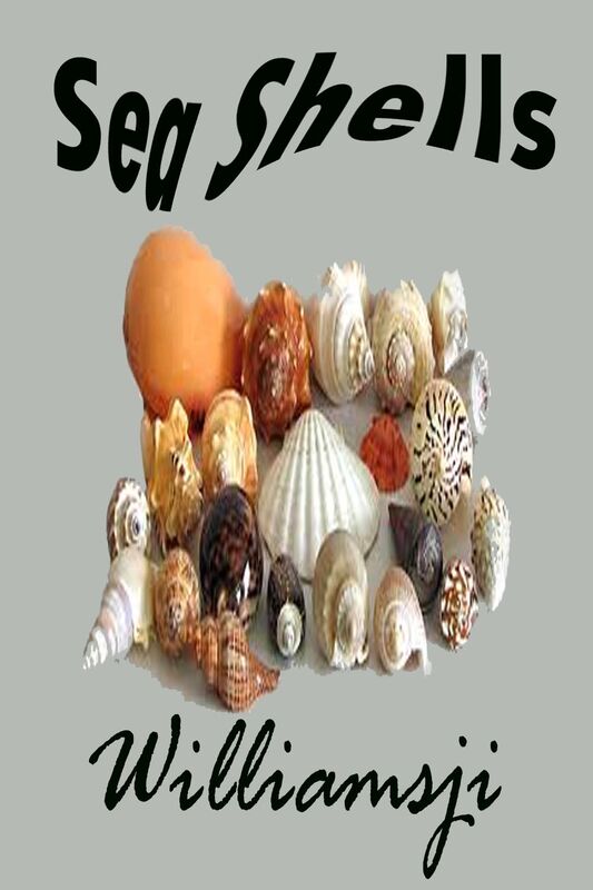 Sea Shells by Williamsji Maveli