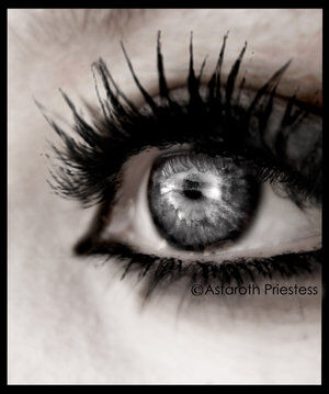 What Do you See..?