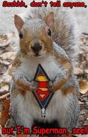 SUPER,,SCOUSE SQUIRREL !?X SUPER,,SCOUSE SQUIRREL !?X