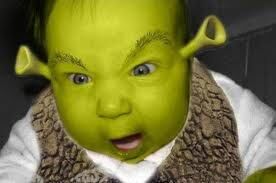 Baby Shrek X Poem By Tracy Timothy