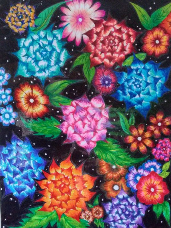 THE NIGHT GARDEN
