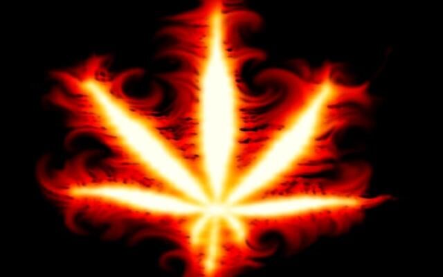 " INHERENT WEED" " INHERENT WEED"