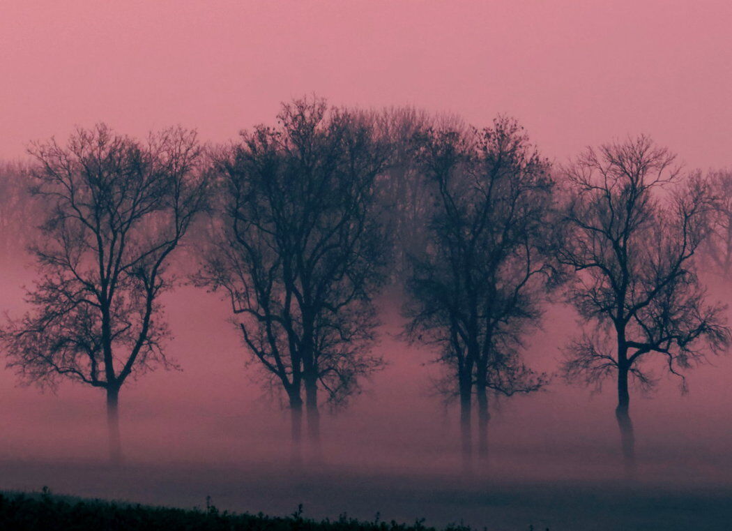 Purple mist