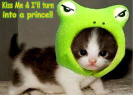 PUSSY PLEA.S !?X PUSSY PLEA.S !?X