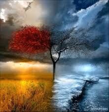 The Seasons The Seasons