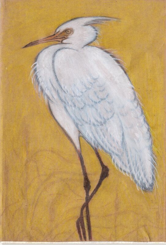 spring heron