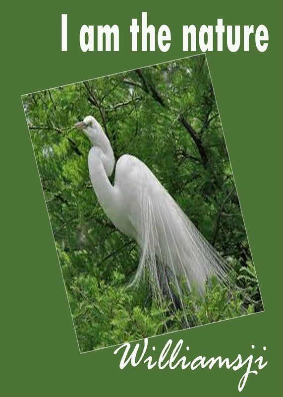 I am the nature I am the nature