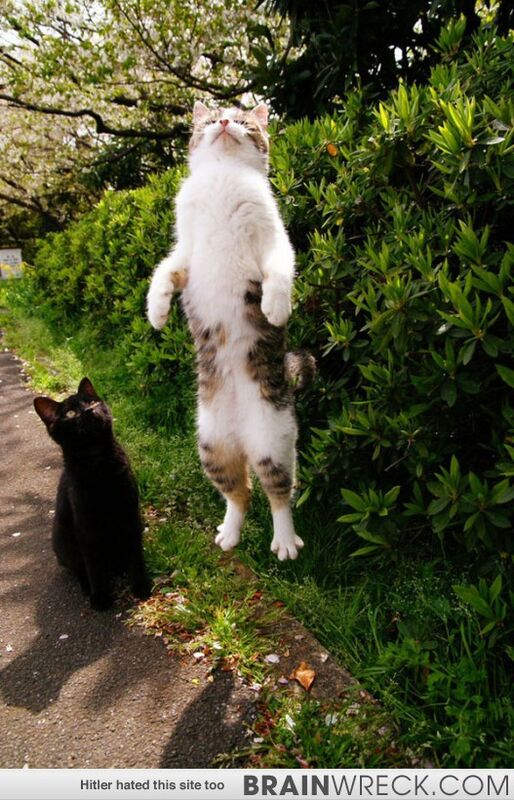 BEAM ME UP SCOTTY! BEAM ME UP SCOTTY!