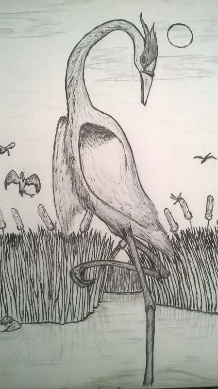 Grace of the marsh