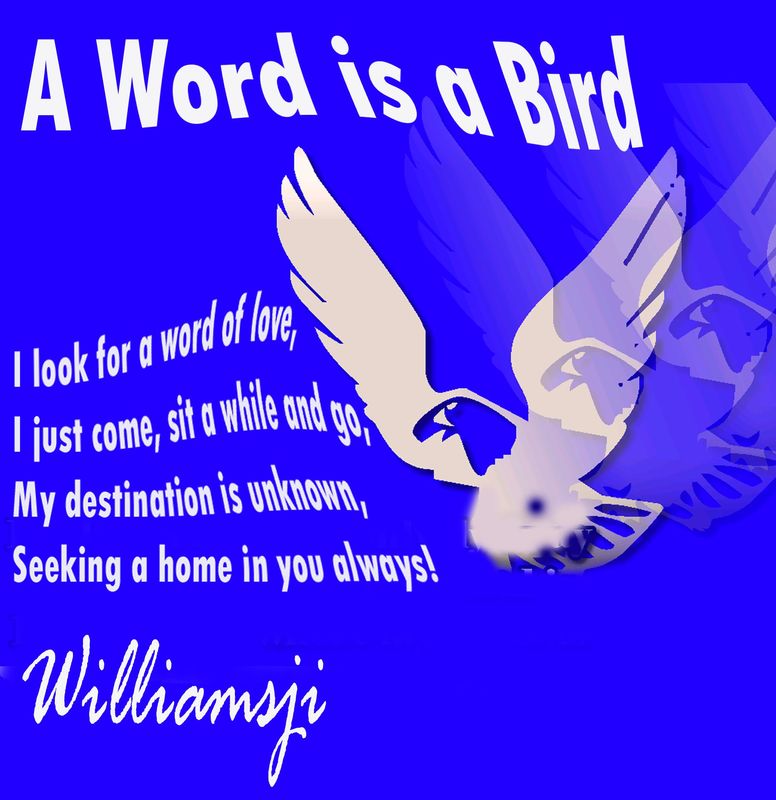 A Word is a Bird A Word is a Bird