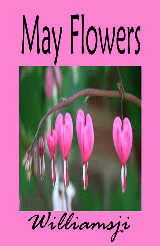 MAY FLOWERS – DAY 2: BY WILLIAMSJI MAVELI MAY FLOWERS – DAY 2: BY WILLIAMSJI MAVELI