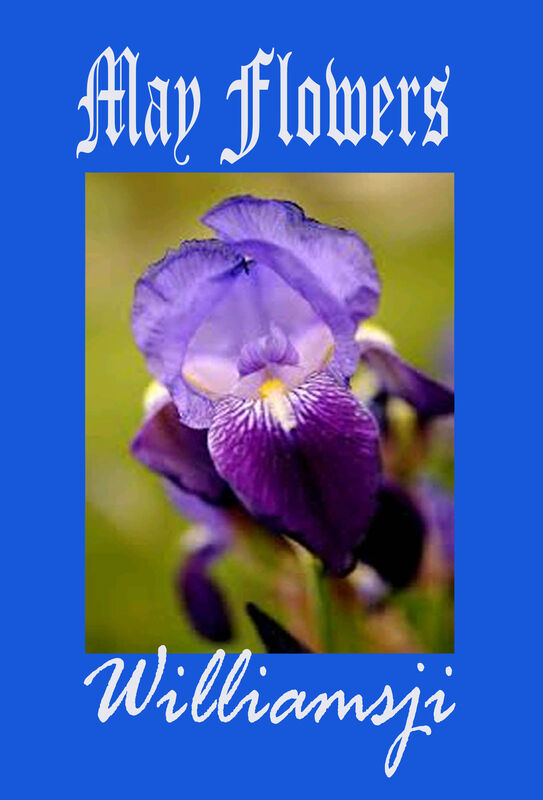 MAY FLOWERS: DAY - 3 BY WILLIAMSJI MAVELI MAY FLOWERS: DAY - 3 BY WILLIAMSJI MAVELI