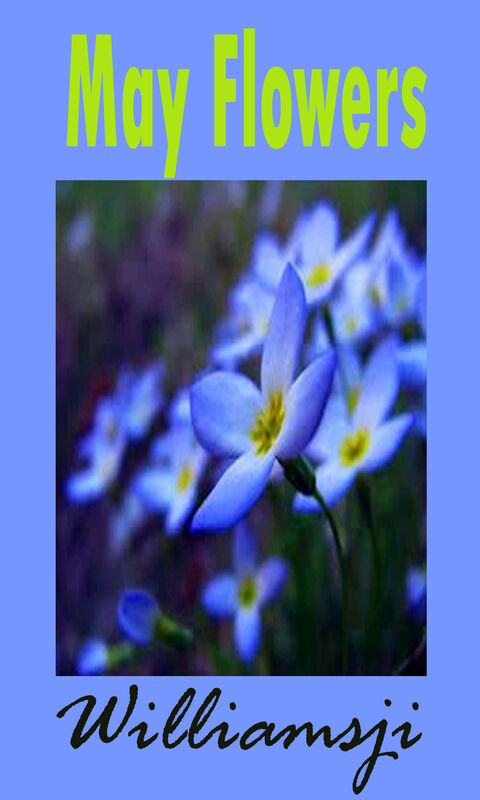 MAY FLOWERS: DAY - 4 BY WILLIAMSJI MAVELI MAY FLOWERS: DAY - 4 BY WILLIAMSJI MAVELI