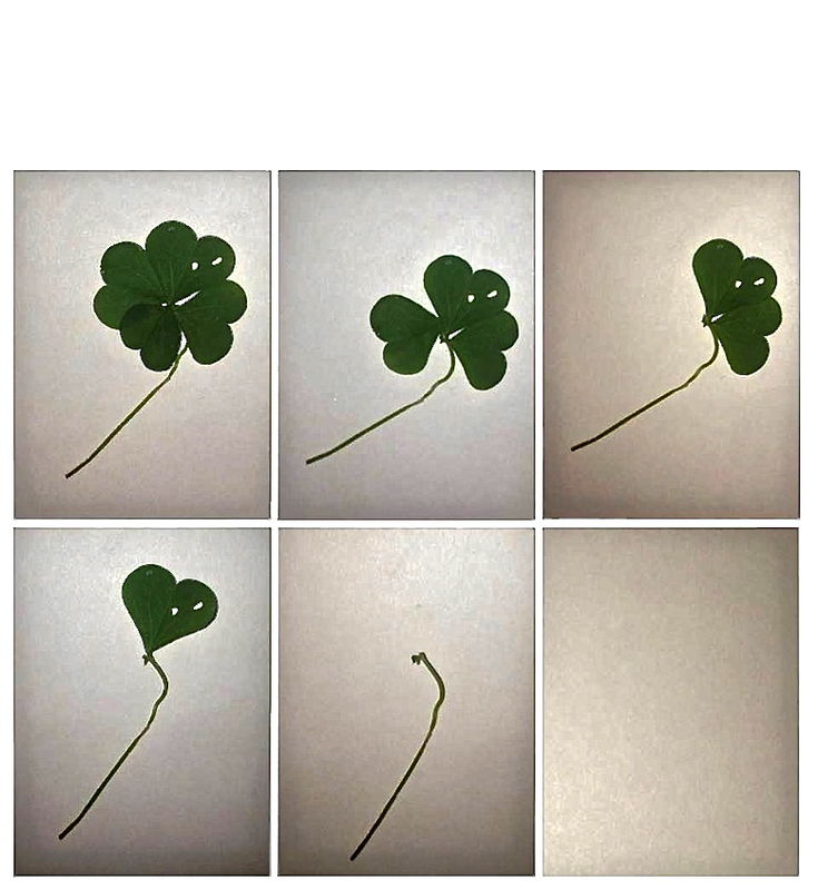 The Anatomy of Luck