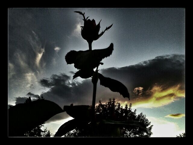Alone Alone