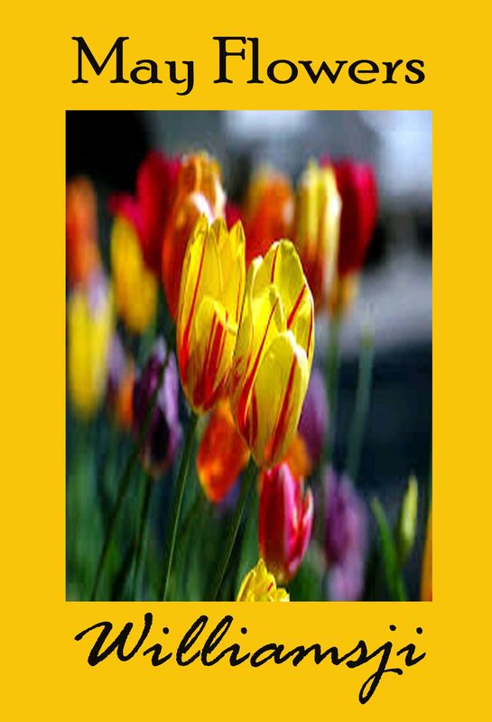 MAY FLOWERS: DAY - 5 BY WILLIAMSJI MAVELI MAY FLOWERS: DAY - 5 BY WILLIAMSJI MAVELI