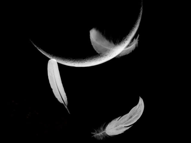 FALLEN ANGELS (PARTS ONE & TWO) topic Apocalypse FALLEN ANGELS (PARTS ONE & TWO) topic Apocalypse