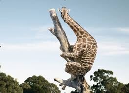 G" AWD HELP US !?X G" AWD HELP US !?X