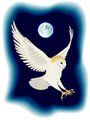 The Owl And The Crow The Owl And The Crow