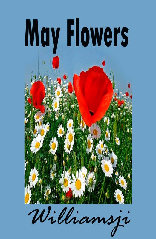 MAY FLOWERS: DAY 9 BY WILLIAMSJI MAVELI MAY FLOWERS: DAY 9 BY WILLIAMSJI MAVELI