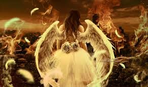 THE DEVIL,S WEDDING !?X THE DEVIL,S WEDDING !?X