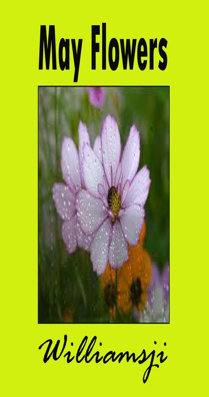 MAY FLOWERS: DAY 10 BY WILLIAMSJI MAVELI MAY FLOWERS: DAY 10 BY WILLIAMSJI MAVELI