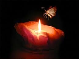 Moth And Fire Moth And Fire