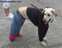 HOW EMBARRASSING !?X