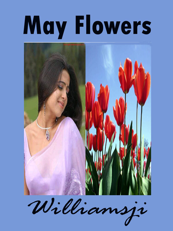 MAY FLOWERS: DAY 12 BY WILLIAMSJI MAVELI MAY FLOWERS: DAY 12 BY WILLIAMSJI MAVELI