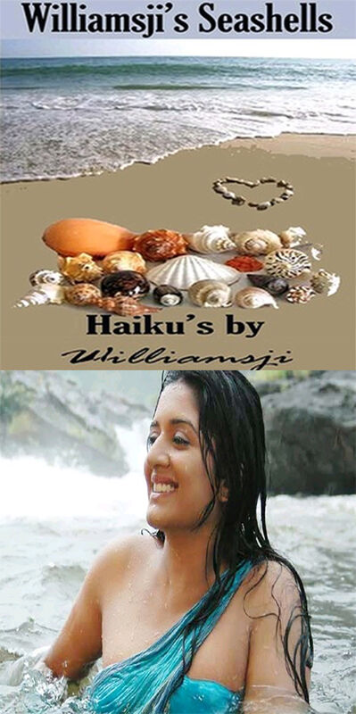 Seashells: Williamsji Maveli's Haiku Poems Seashells: Williamsji Maveli's Haiku Poems