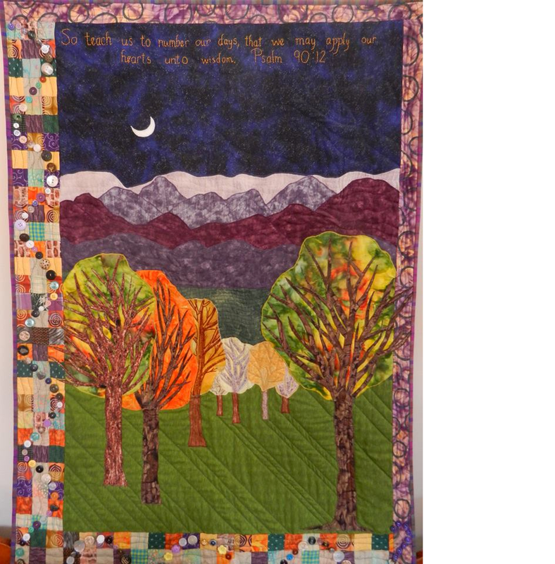Midnight Forest Midnight Forest