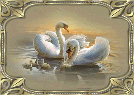 The ugly duckling that couldn't The ugly duckling that couldn't