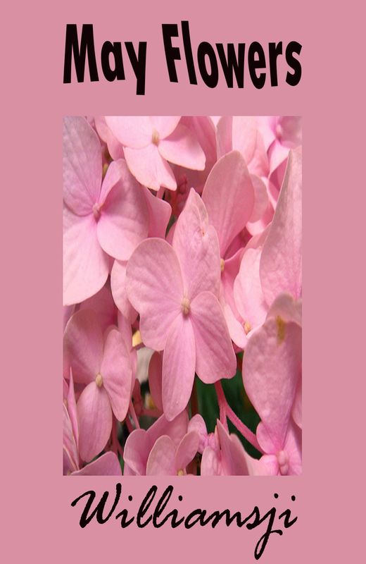MAY FLOWERS: DAY 16 BY WILLIAMSJI MAVELI MAY FLOWERS: DAY 16 BY WILLIAMSJI MAVELI
