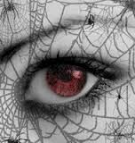 WEB OF LIE,S !?X WEB OF LIE,S !?X