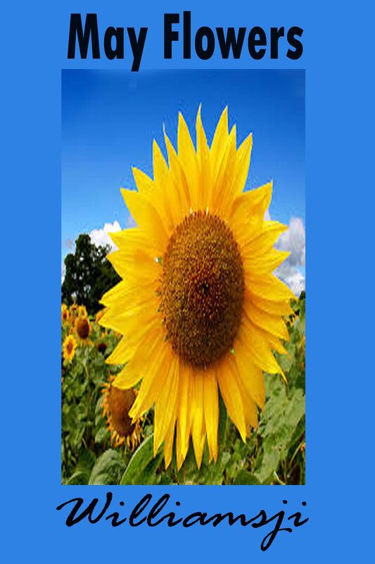 MAY FLOWERS: DAY 19 BY WILLIAMSJI MAVELI