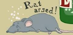 SO RAT ARSED !?X SO RAT ARSED !?X