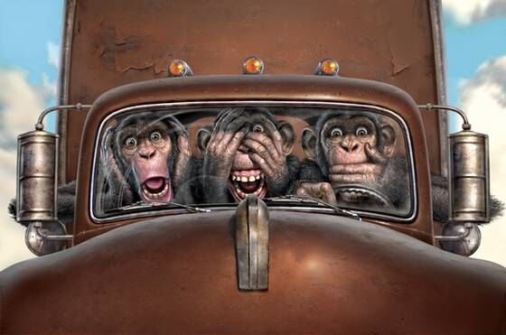 SEE IT, HEAR IT, SAY IT !?X SEE IT, HEAR IT, SAY IT !?X